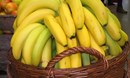 حقائق مثيرة للدهشة عن الموز
