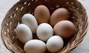 كيف تعرف إذا كان البيض طازجاً أم لا؟!