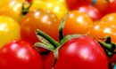 الطماطم "البندورة" و فوائدها  الكثيرة