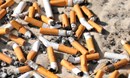 ما الذي يجعل السجائر سامة جدا وخطيرة على صحة الإنسان؟