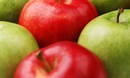 ماذا يجب أن تعرف عن التفاح